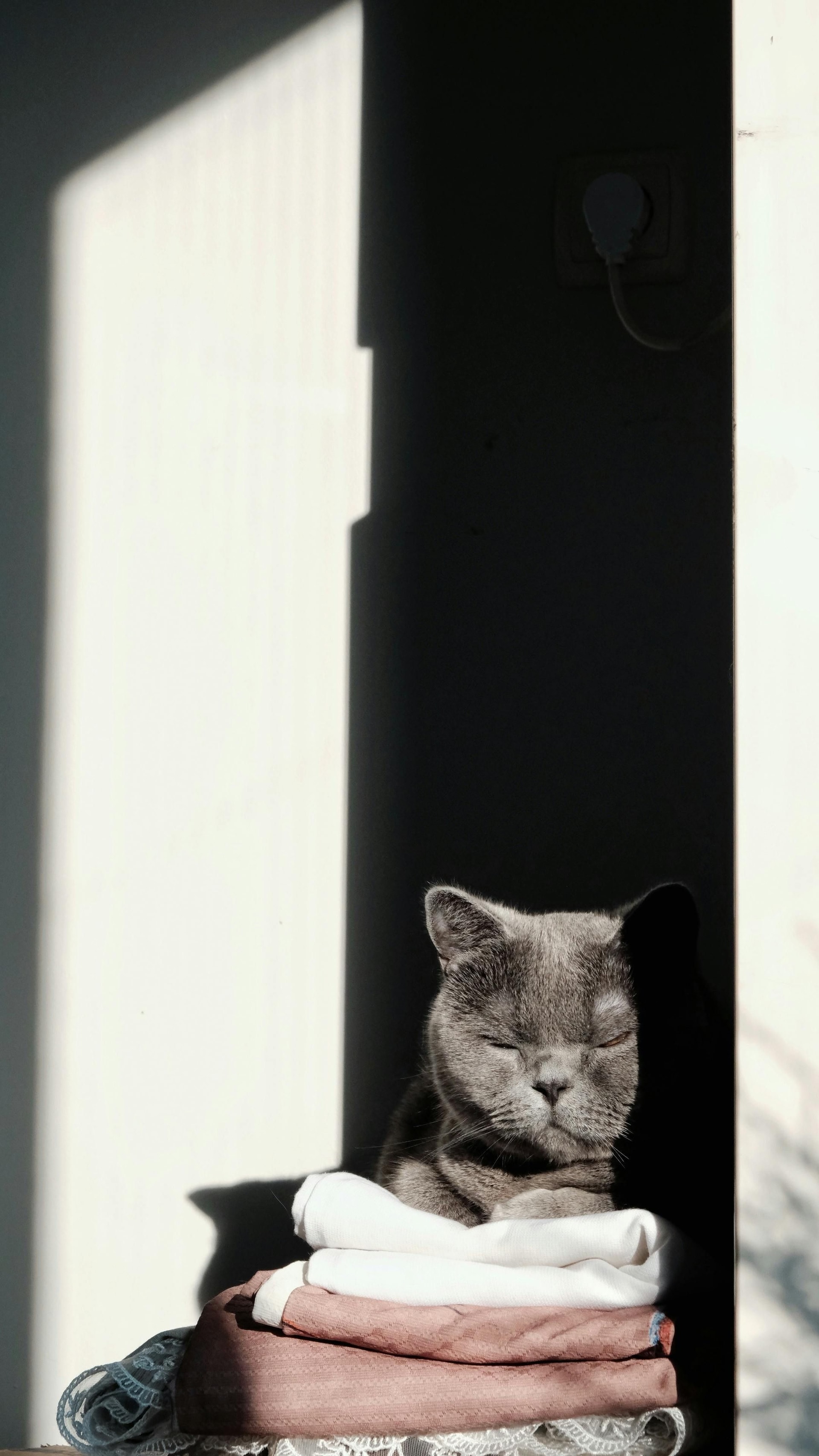 Best Laundry Franchise Support in India | 2025 Guide