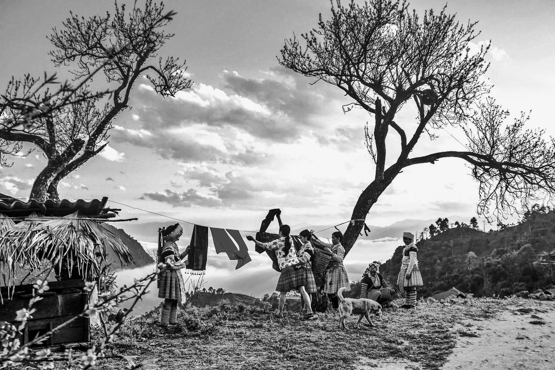 Most Reliable Laundry Business Franchise in India