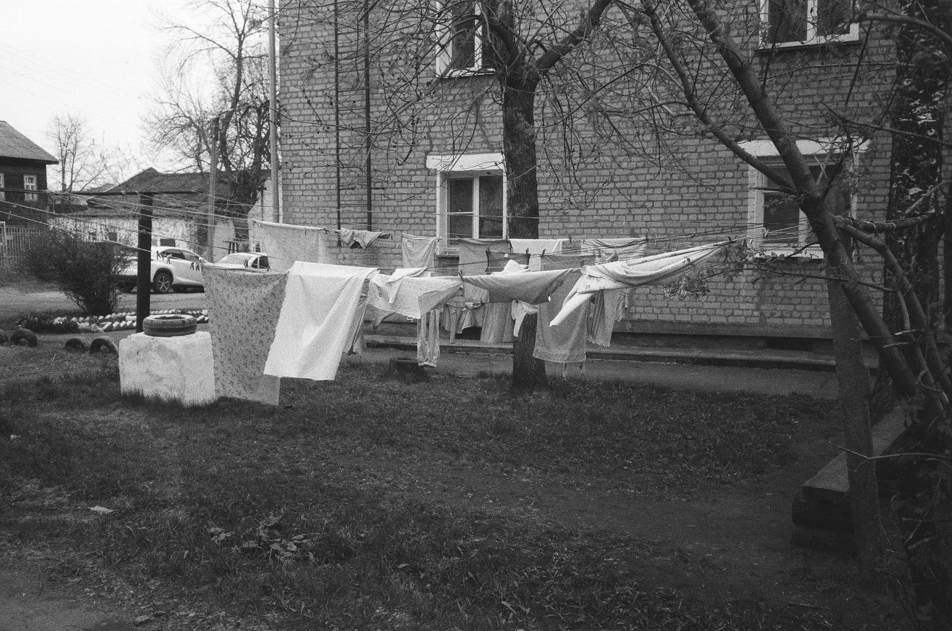 Professional laundry business setup with machines and trained staff.