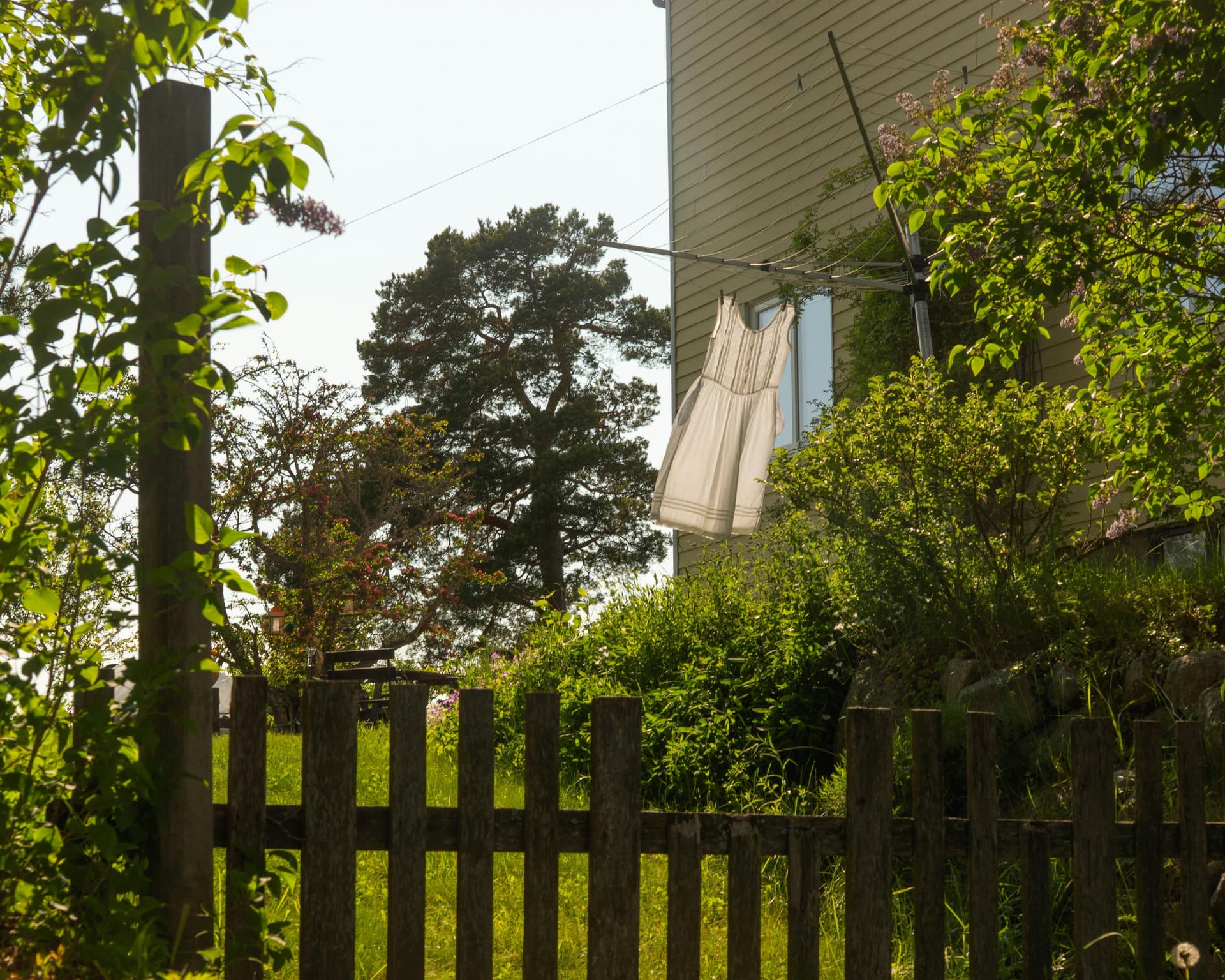 Top 3 Laundry Franchises in Lucknow | Clean Craft