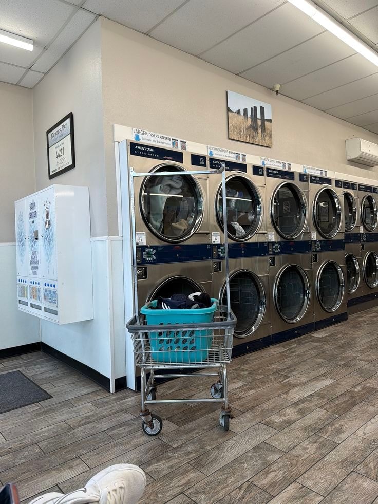 Top 10 Laundry Franchise in Madhya Pradesh: Complete Comparison Guide (2026)